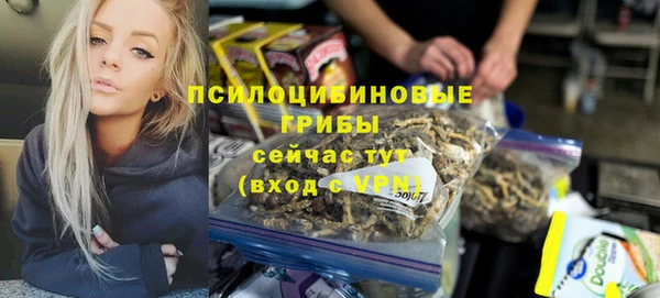 соль ск Арсеньев