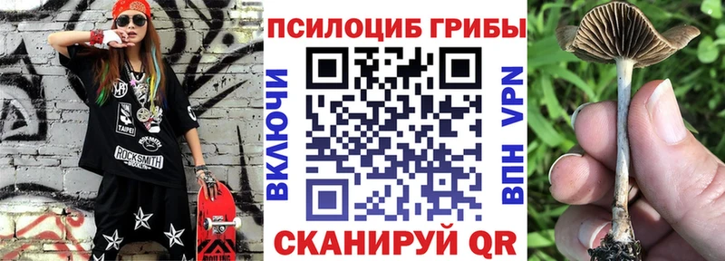 Псилоцибиновые грибы прущие грибы  darknet наркотические препараты  Обнинск 
